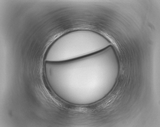 X0000116780437200912171313