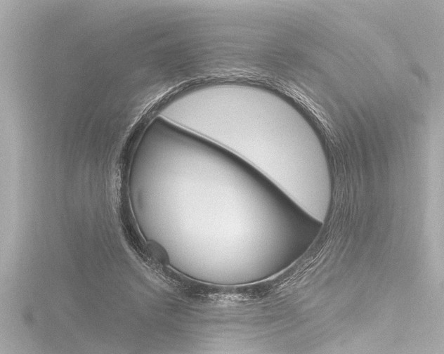 X0000116780448200912171313