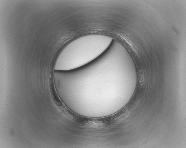 X0000116780455200912171313