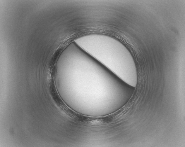 X0000116780456200912171313