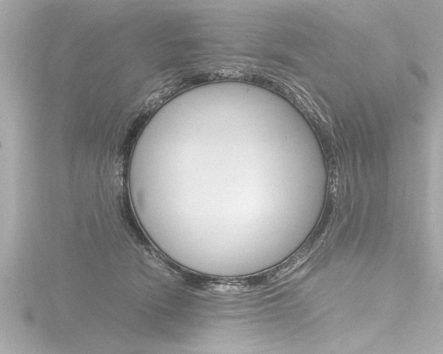 X0000116780466200912171313