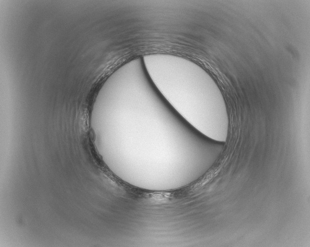 X0000116780474200912171314
