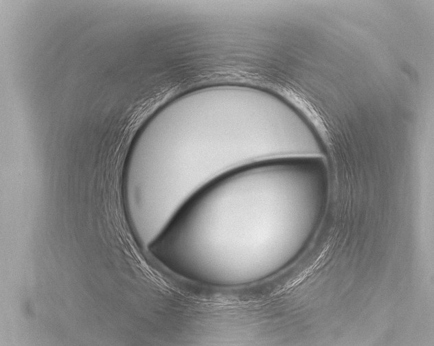 X0000116780481200912171313