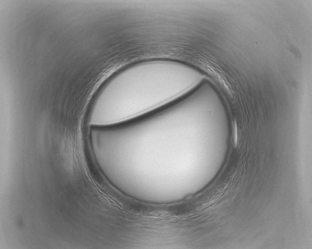 X0000116780483200912171313