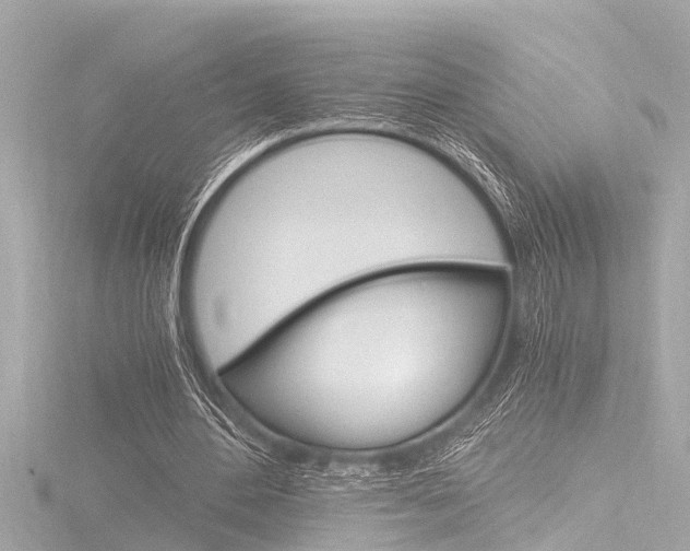 X0000116780484200912171313