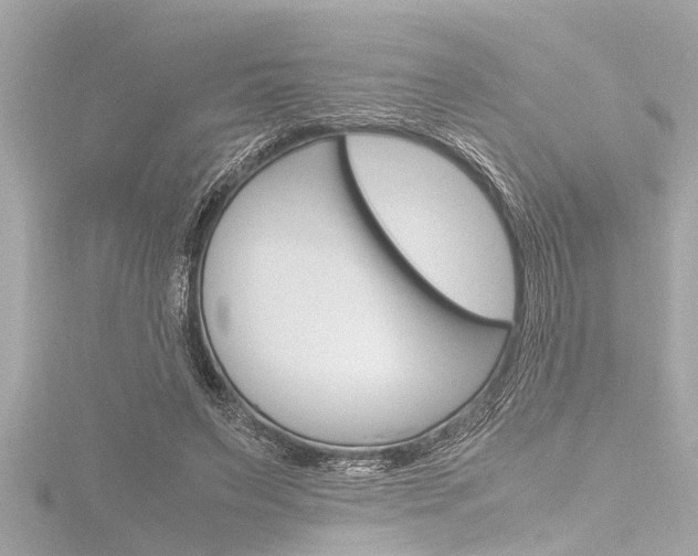 X0000116780495200912171313