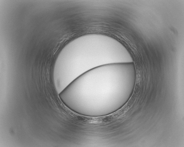 X0000116780504200912171313