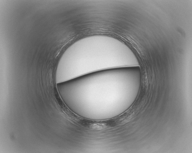 X0000116780508200912171313