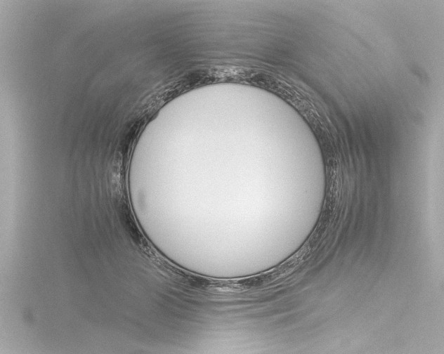 X0000116780510200912171313