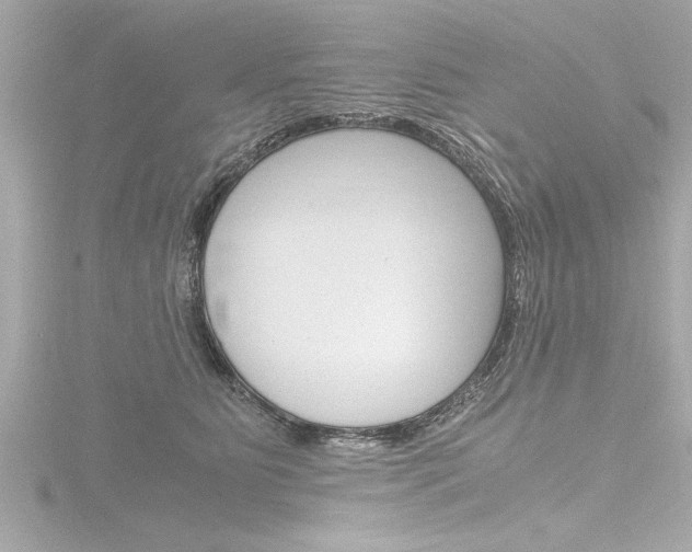 X0000116780515200912171313