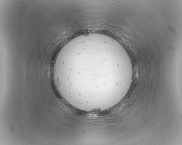 X0000116780519200912171313