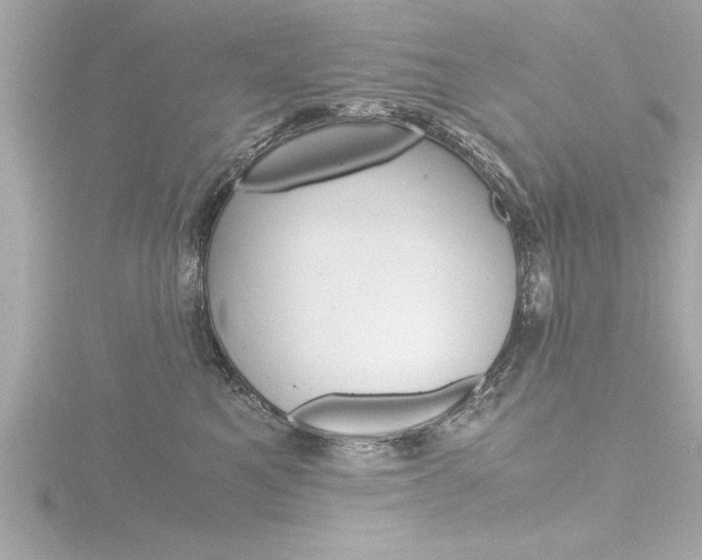 X0000116780521200912171313