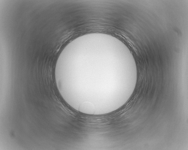 X0000116780524200912171312