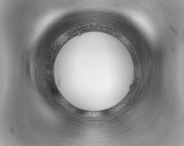 X0000116780526200912171312