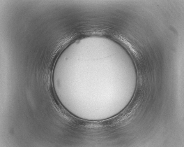 X0000116780537200912171312