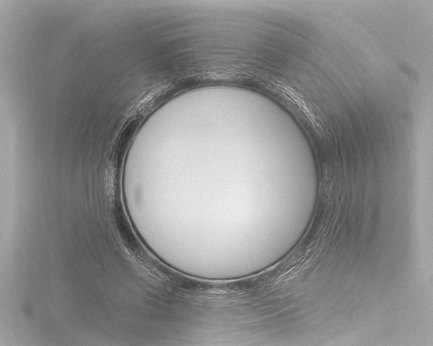 X0000116780542200912171312