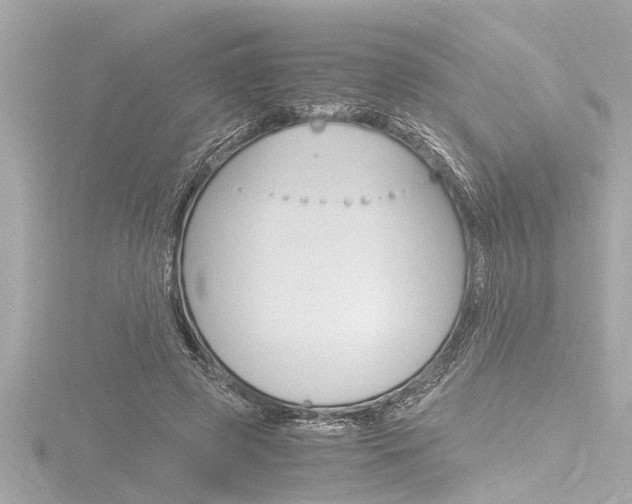 X0000116780545200912171312