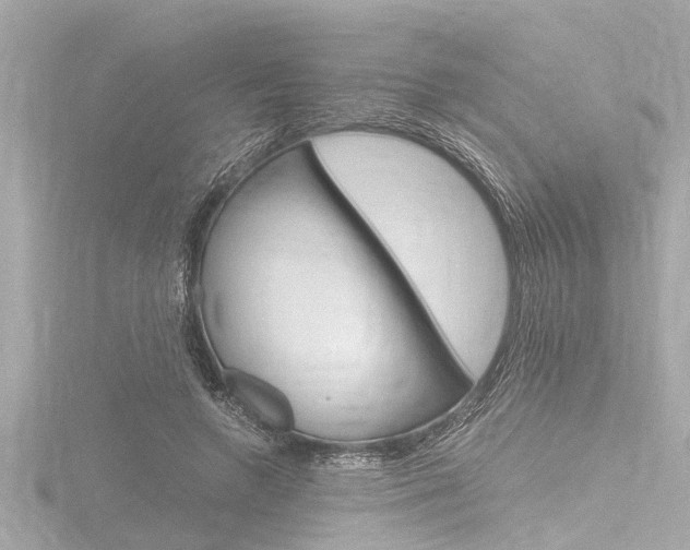 X0000116780546200912171312
