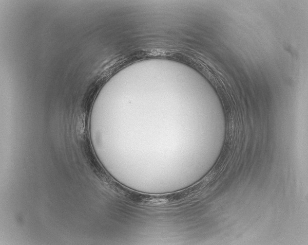 X0000116780554200912171312