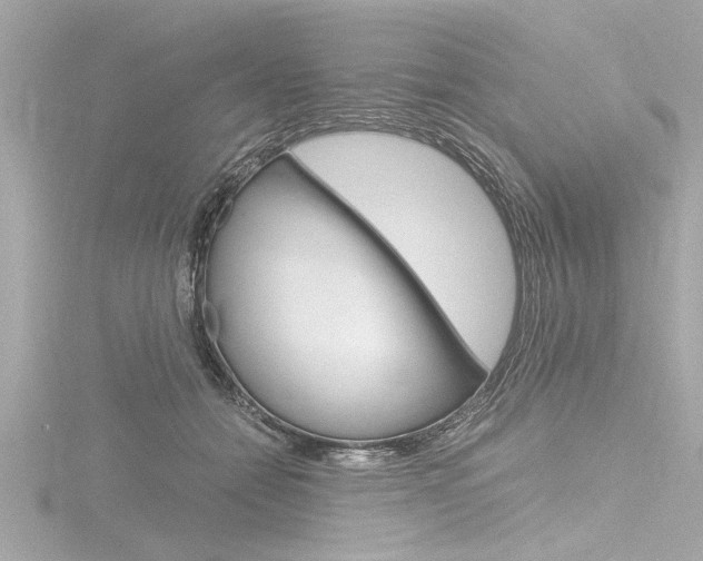 X0000116780558200912171312