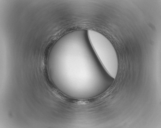X0000116780566200912171312
