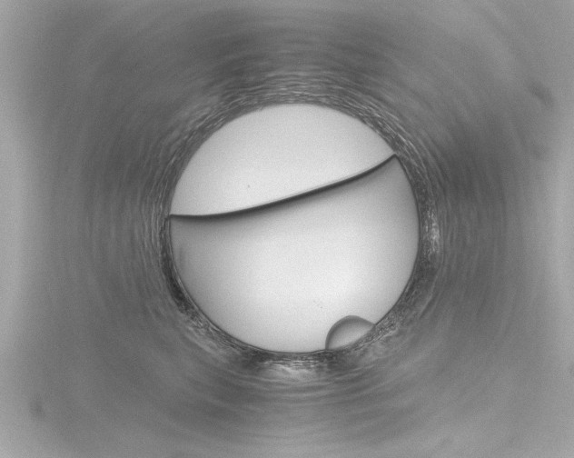 X0000116780567200912171312