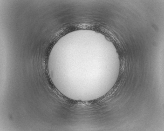 X0000116780569200912171312