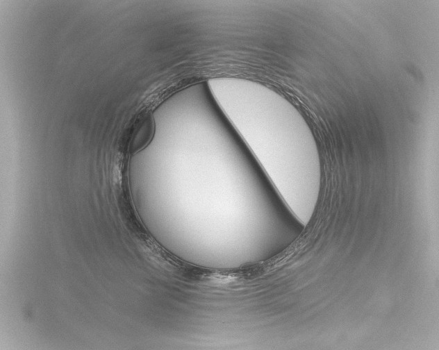 X0000116780570200912171312