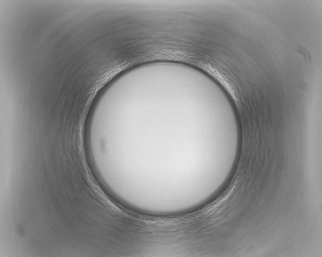 X0000116780581200912171312