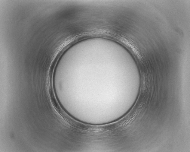 X0000116780582200912171312