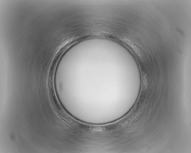 X0000116780587200912171312