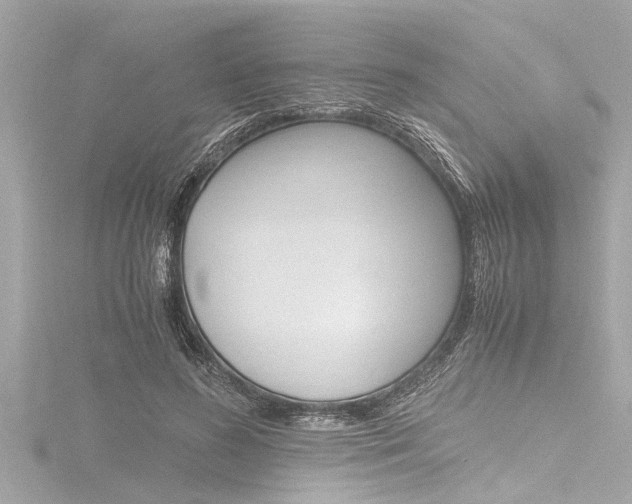 X0000116780596200912171312