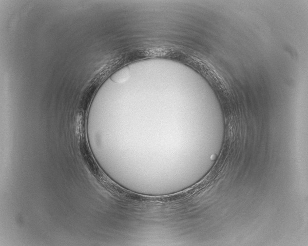 X0000116780598200912171312