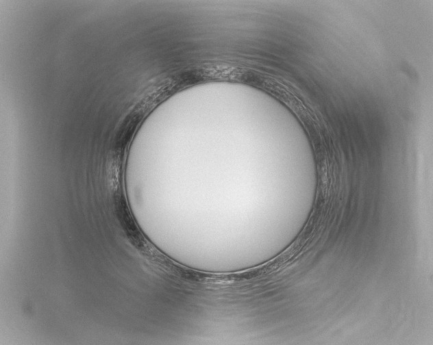 X0000116780602200912171311