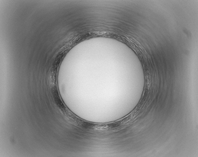 X0000116780606200912171311