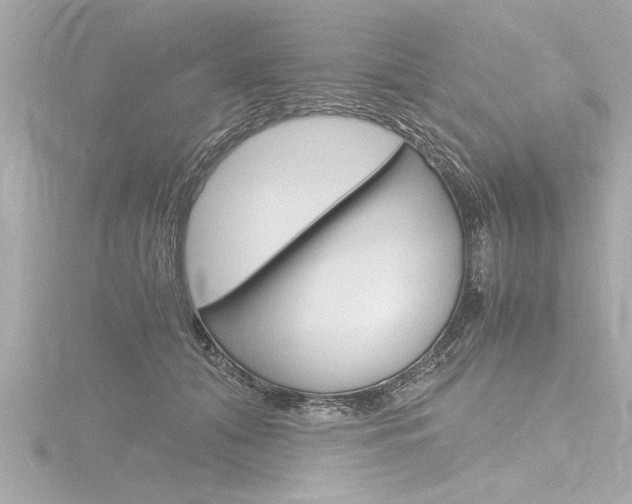 X0000116780608200912171311