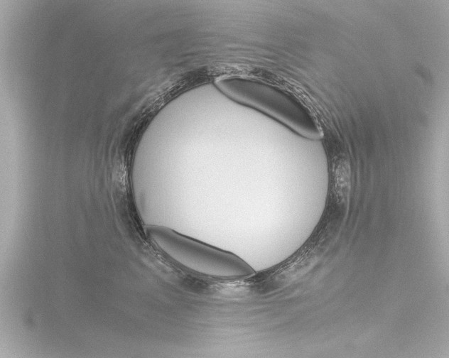 X0000116780617200912171311
