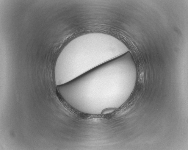 X0000116780620200912171311