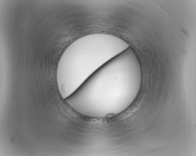 X0000116780624200912171311