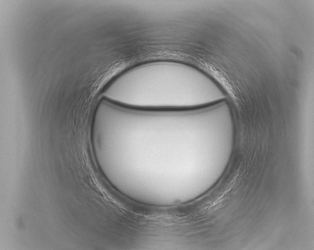 X0000116780625200912171311