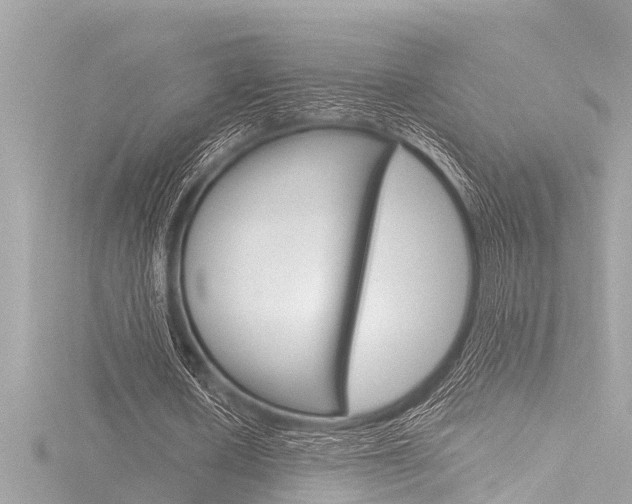X0000116780626200912171311