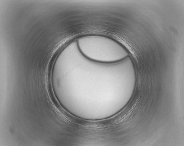 X0000116780629200912171311