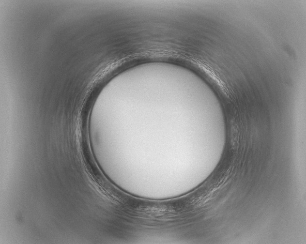 X0000116780631200912171311