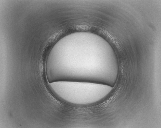 X0000116780637200912171311
