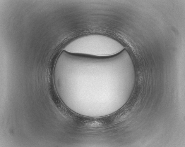 X0000116780643200912171311