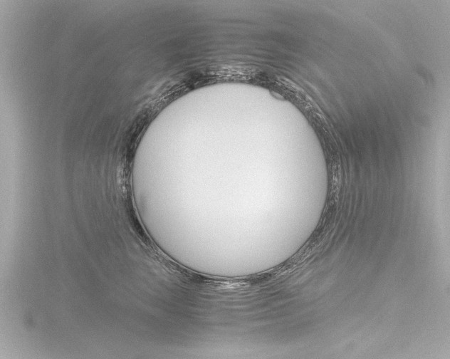 X0000116780663200912171311