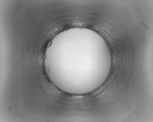 X0000116780665200912171311