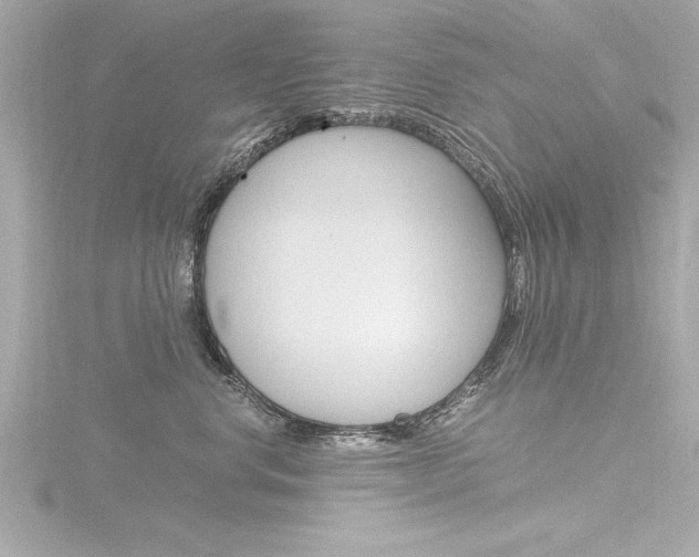 X0000116780668200912171311
