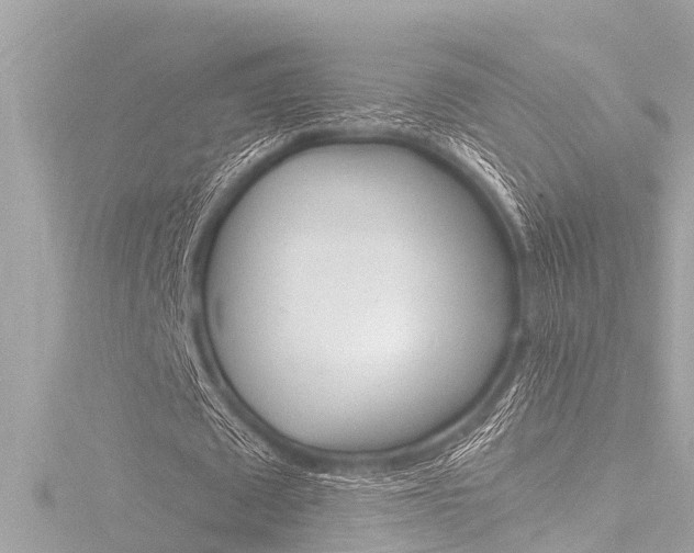 X0000116780673200912171311