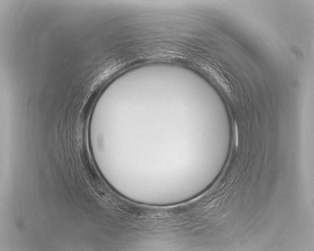 X0000116780675200912171311